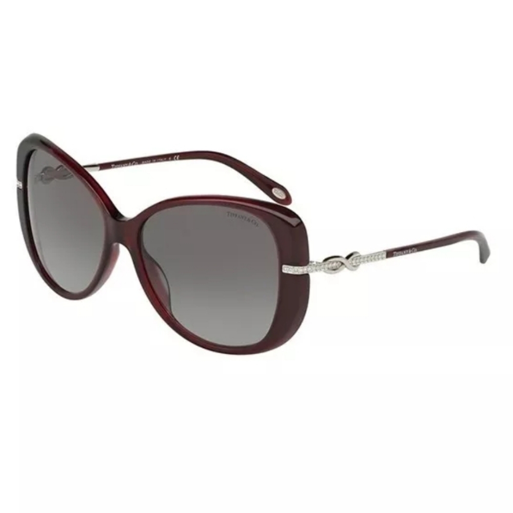 Tiffany & Co. TF4126 Sunglasses Infinity Luxury Butterfly Designer Celebrity 120